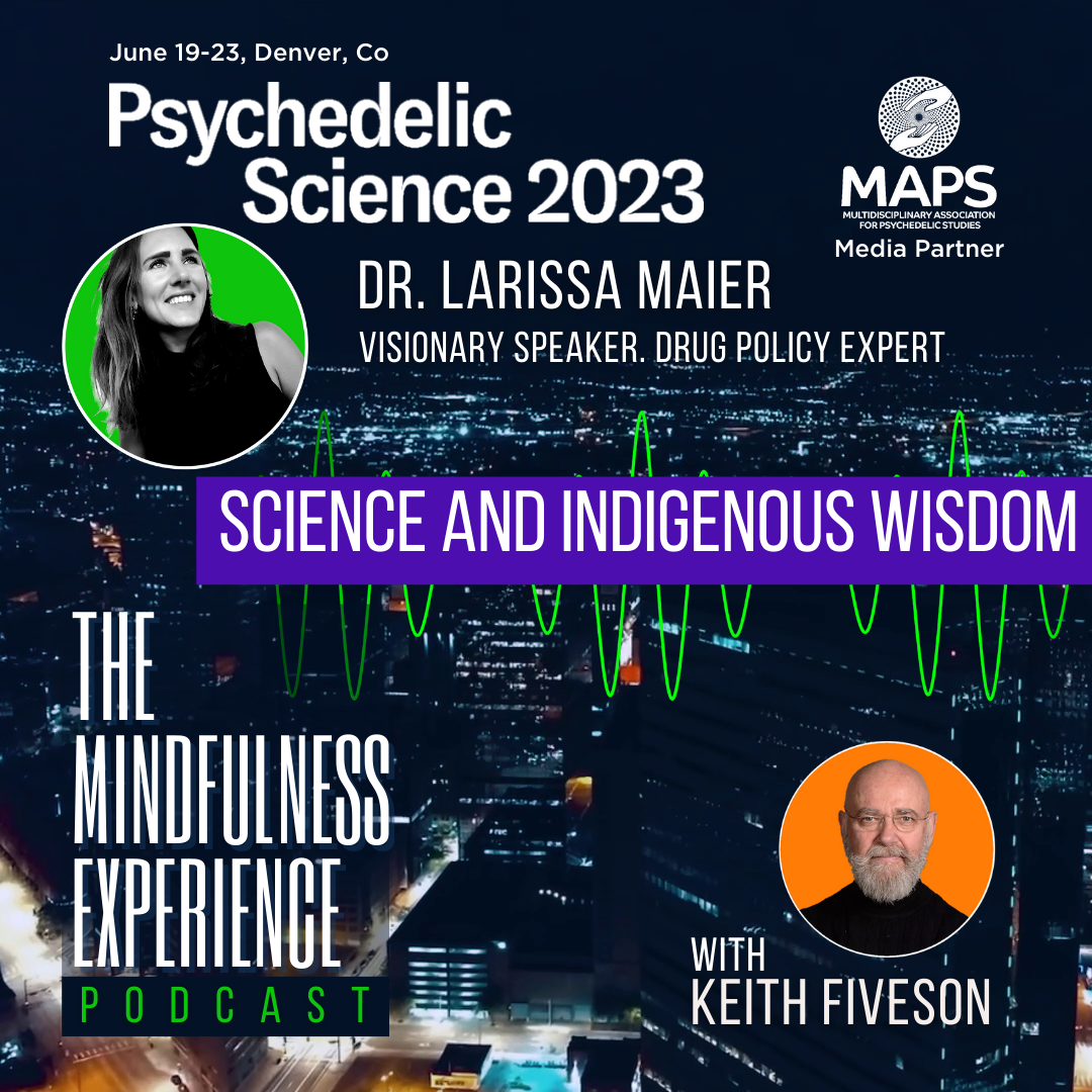 THE MINDFULNESS EXPERIENCE
