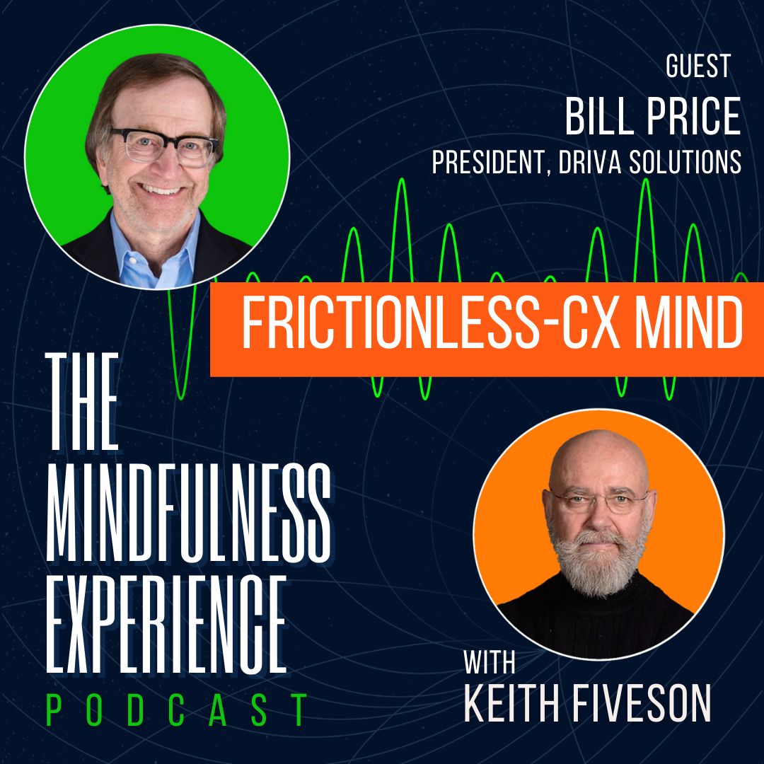 THE MINDFULNESS EXPERIENCE