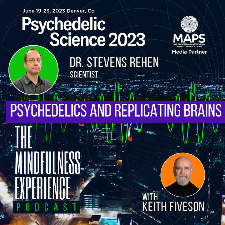THE MINDFULNESS EXPERIENCE