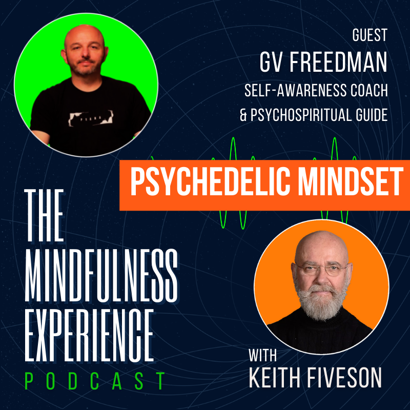 THE MINDFULNESS EXPERIENCE