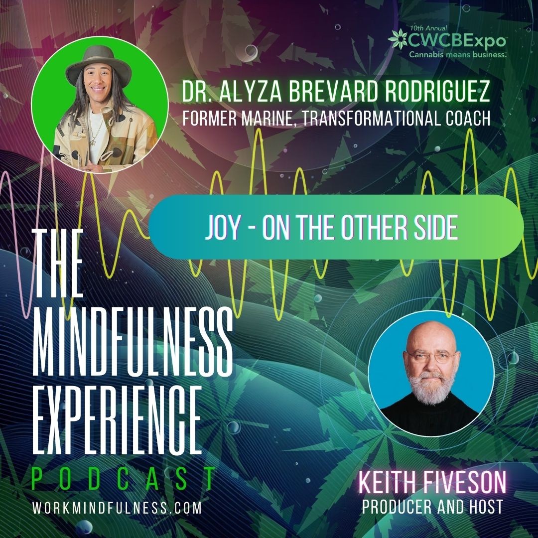 THE MINDFULNESS EXPERIENCE