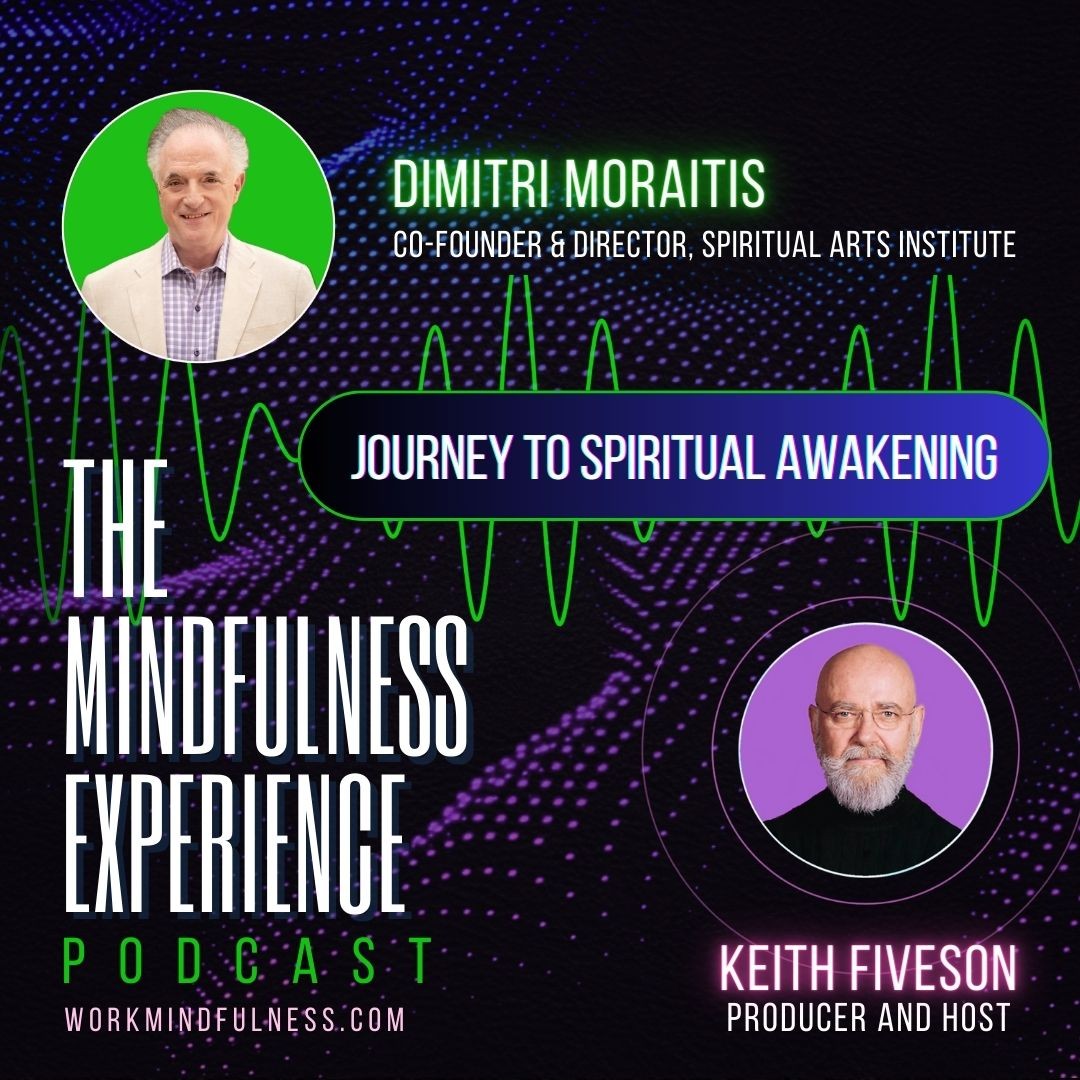THE MINDFULNESS EXPERIENCE