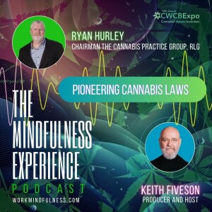 S04E113 - Ryan Hurley - Pioneering Cannabis Laws