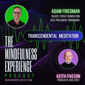 S04E101 - Adam Friedman - Transcendental Meditation