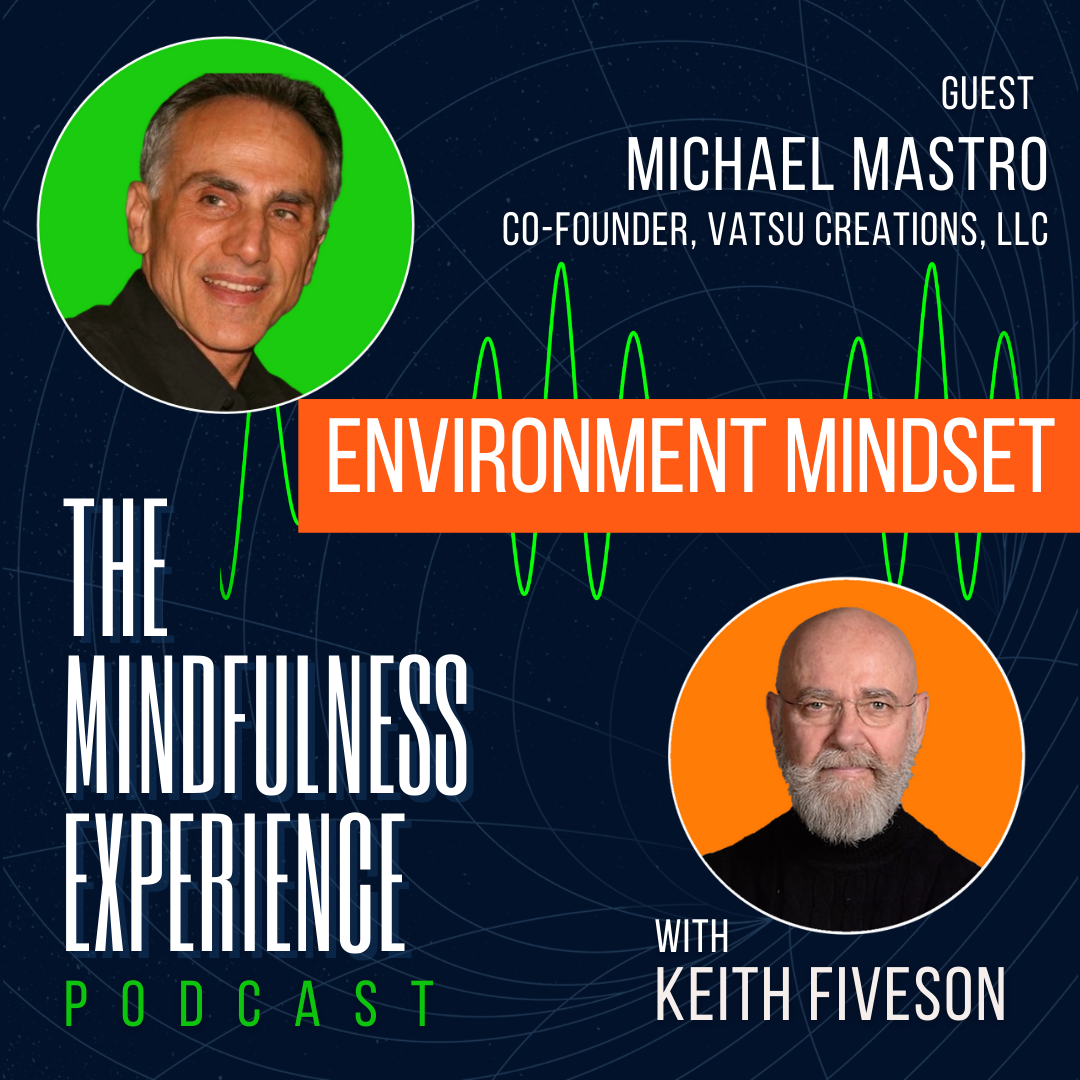 THE MINDFULNESS EXPERIENCE