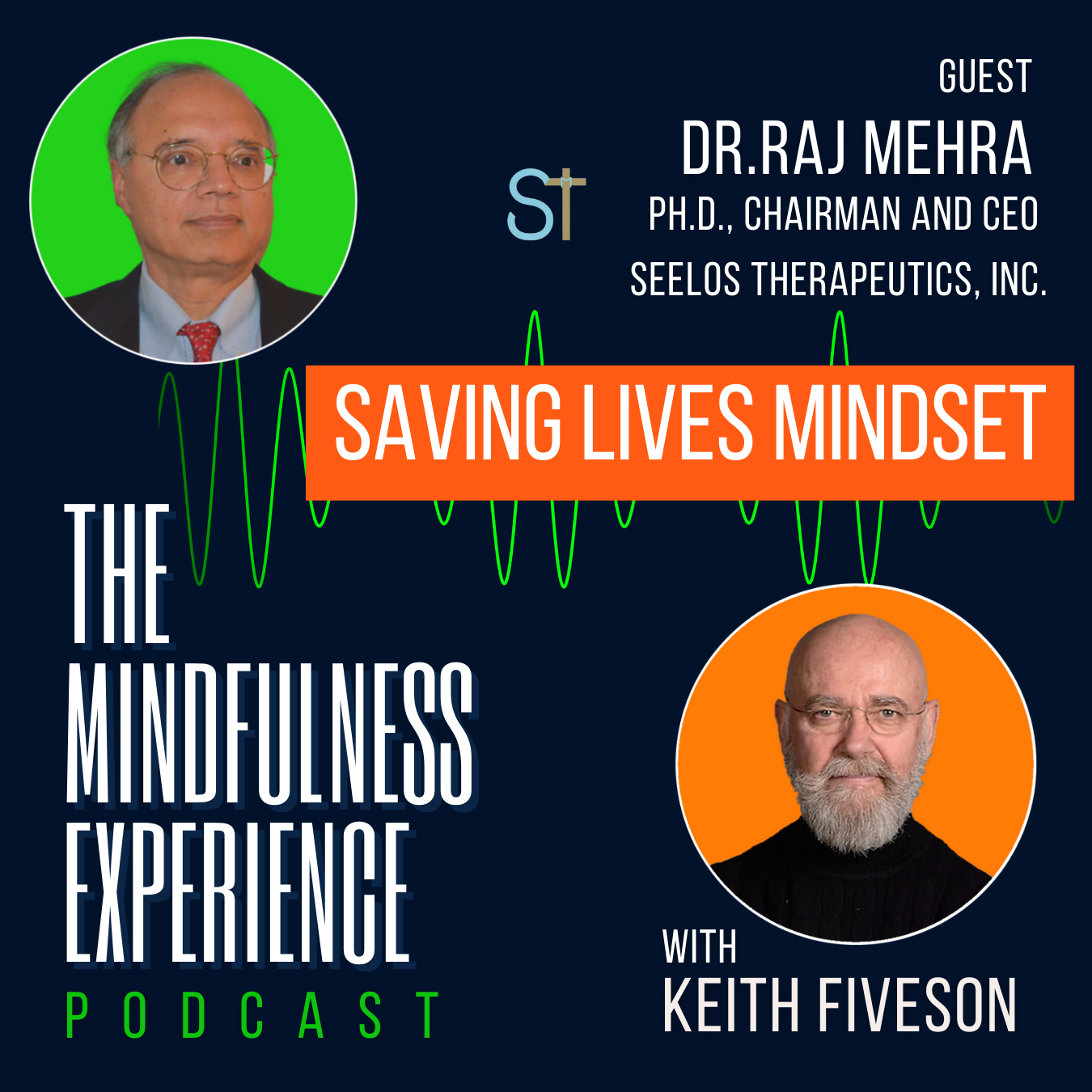 THE MINDFULNESS EXPERIENCE