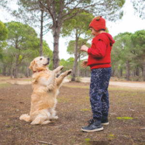 Köpekler İnsanları Taklit Ediyor!