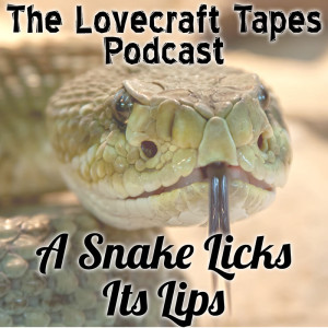 Case 2 Tape 5: A Snake Licks Its Lips