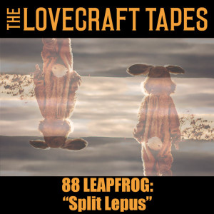 Case 9 Tape 8: Split Lepus