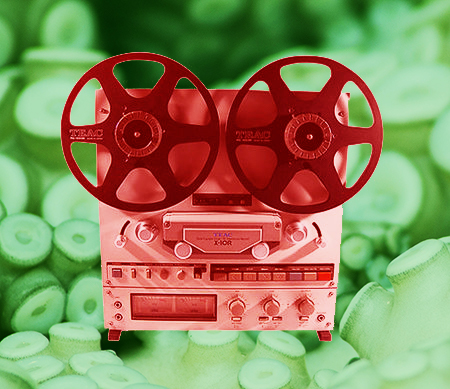 The Lovecraft Tapes | Actual-Play Call Of Cthulhu Podcast