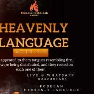 Heavenly Language Experience 1