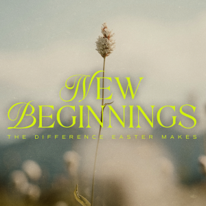 New Beginnings Part 2 | In the Ordinary