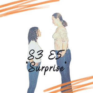 S3 E5 - Surprise