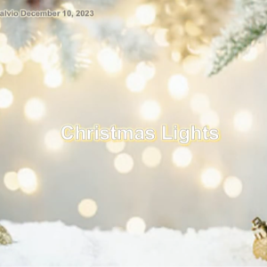 ”Christmas Lights” 10 December 2023