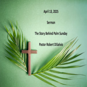The Story Behind Palm Sunday | Jesus' Triumphal Entry & What He Saw