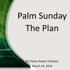 "The Divine Plan Unveiled: Palm Sunday and The Path to Salvation"
