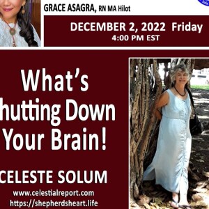 #289- Celeste Solum- ”Brain Fog and What’s Shutting Down Your Brain!”