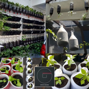 #03- How does gardening in small spaces help our immune health and be in symbiotic relationship with mother nature?- Guest: Patty Sunga Asagra, BA