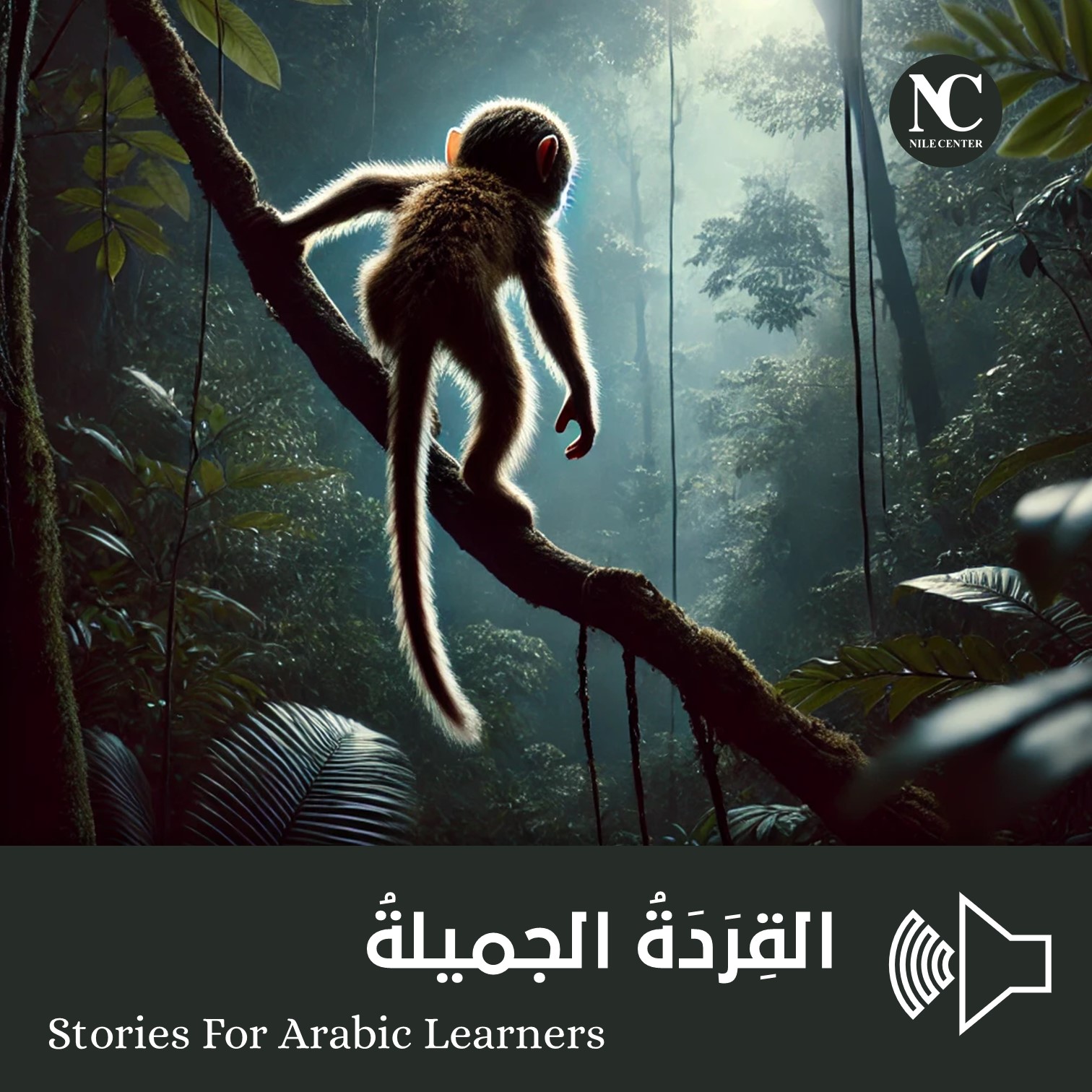 القِرَدَةُ الجميلةُ