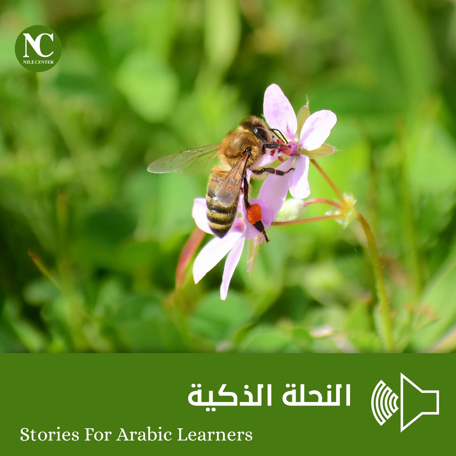 النحلة الذكية