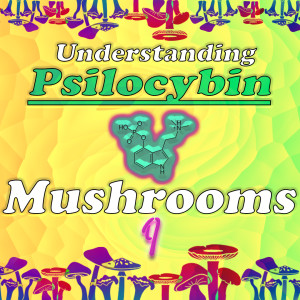 Understanding Psilocybin Mushrooms #9