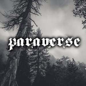 Paraverse Live! Philip Mantle Interview