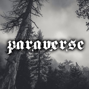 Paraverse Live! Visage Paranormal Interview