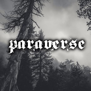 Paraverse Live! Malcolm Robinson Interview