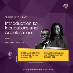 Introduction to Incubators and Accelerators