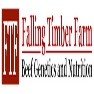 Falling Timber Farm 17th Bull & Female Sale