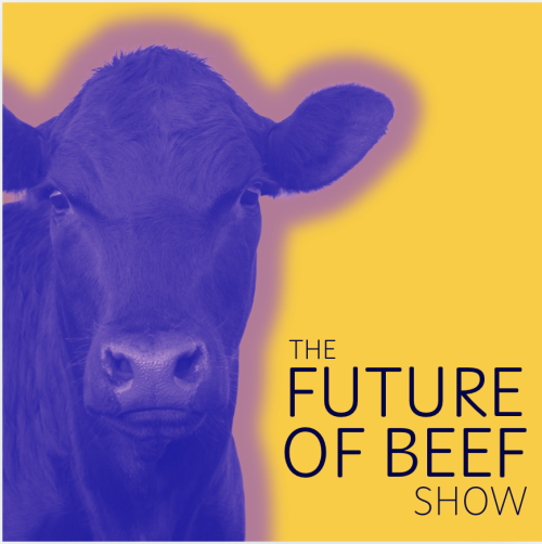 American Cattlemen Podcast