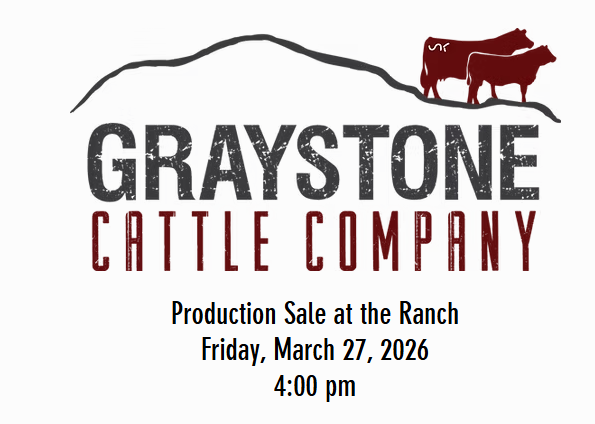 Graystone Cattle 2026 Annual Production Sale