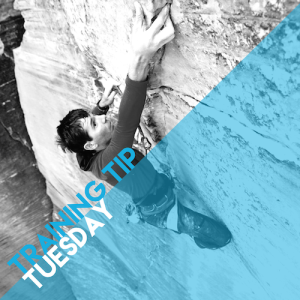 Training Tip Tuesday: Alex Honnold