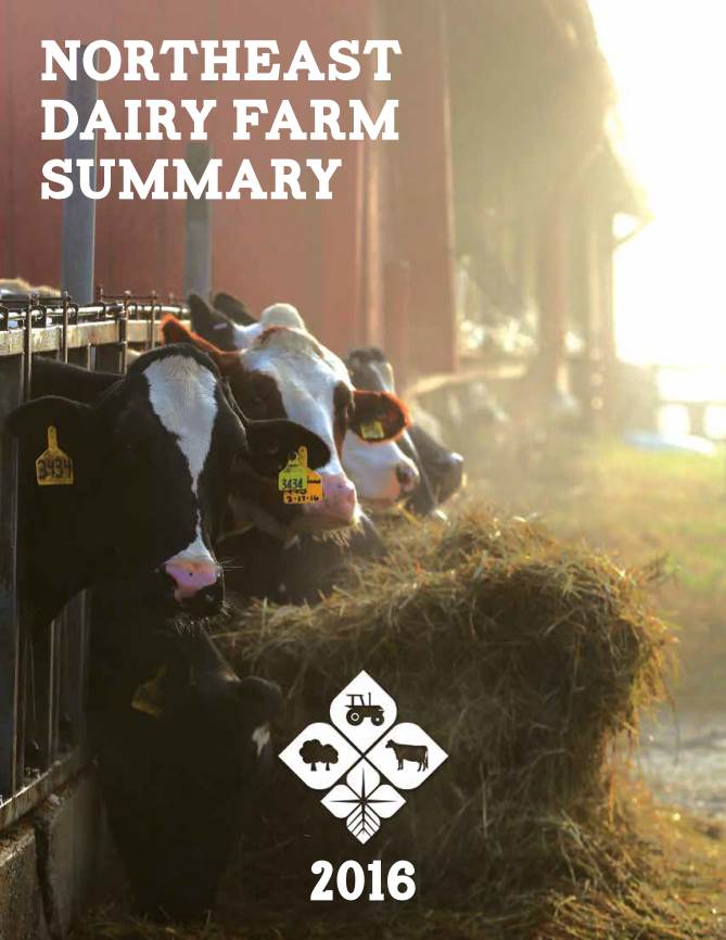 The Northeast Dairy Farm Summary | Benchmarking Can Show the Way to Higher Profits 
