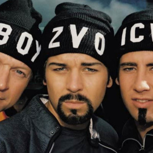 Get Ready to be Boyzvoiced (2000)