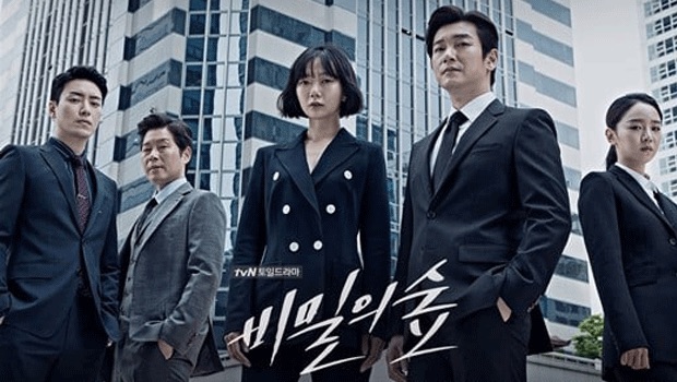 Stranger (Forest of Secrets) - Netflix (Korean tv series)