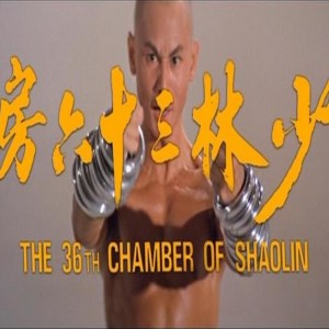 The 36 chambers of Shaolin series