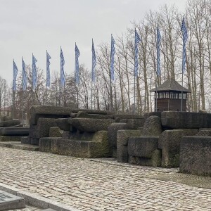 A trip to Auchwitz