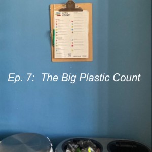 Episode 7:  The Big Plastic Count