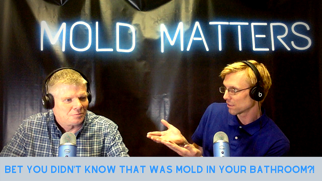 Mold Matters
