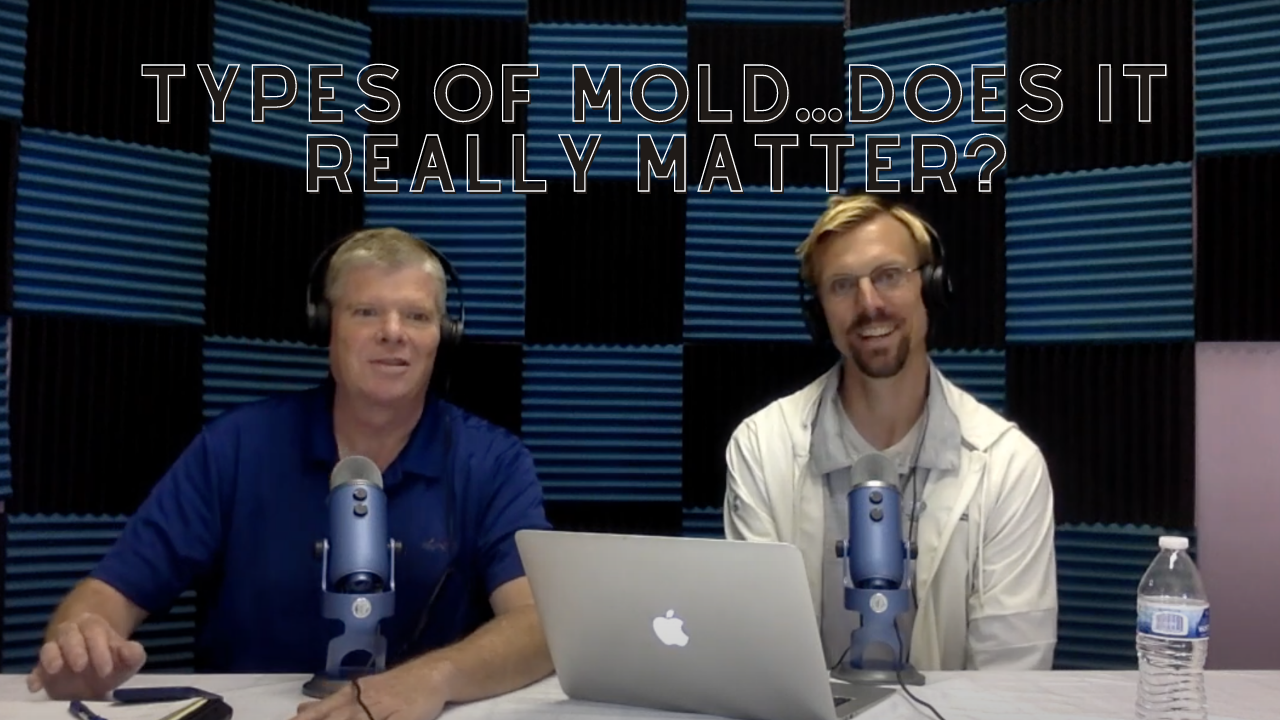 Mold Matters