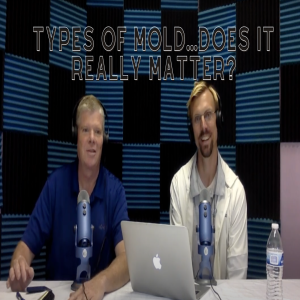 Episode 13 Types of Mold…Does it Matter?