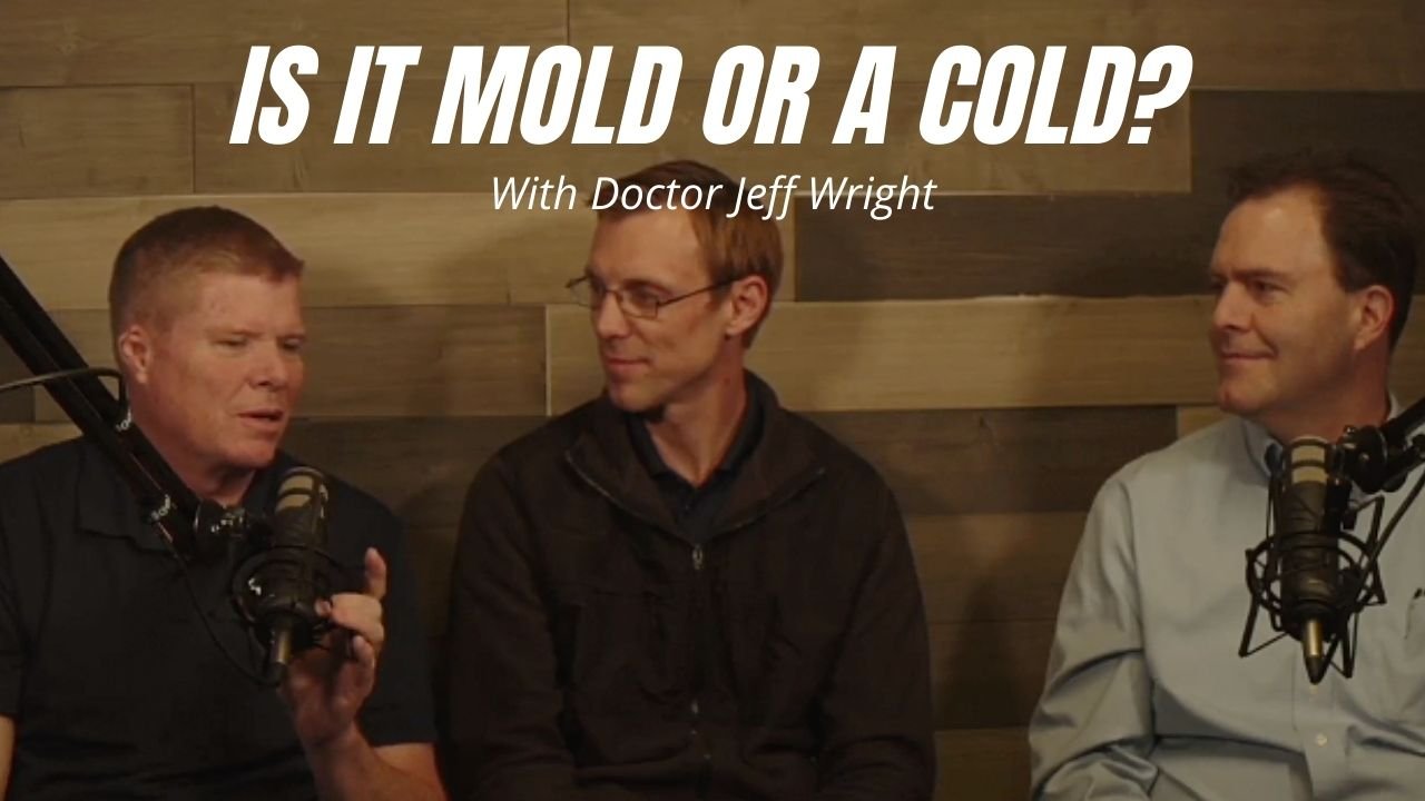 Mold Matters