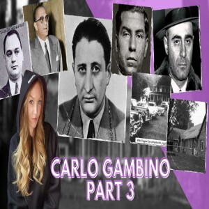 Why the government never did anything about Carlo Gambino - Part 3