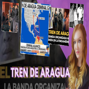 A full breakdown of the Tren De Aragua and a question for NY Government