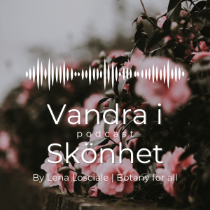 Intention, meningsfullhet och eteriska oljor - VANDRA I SKÖNHET podcast