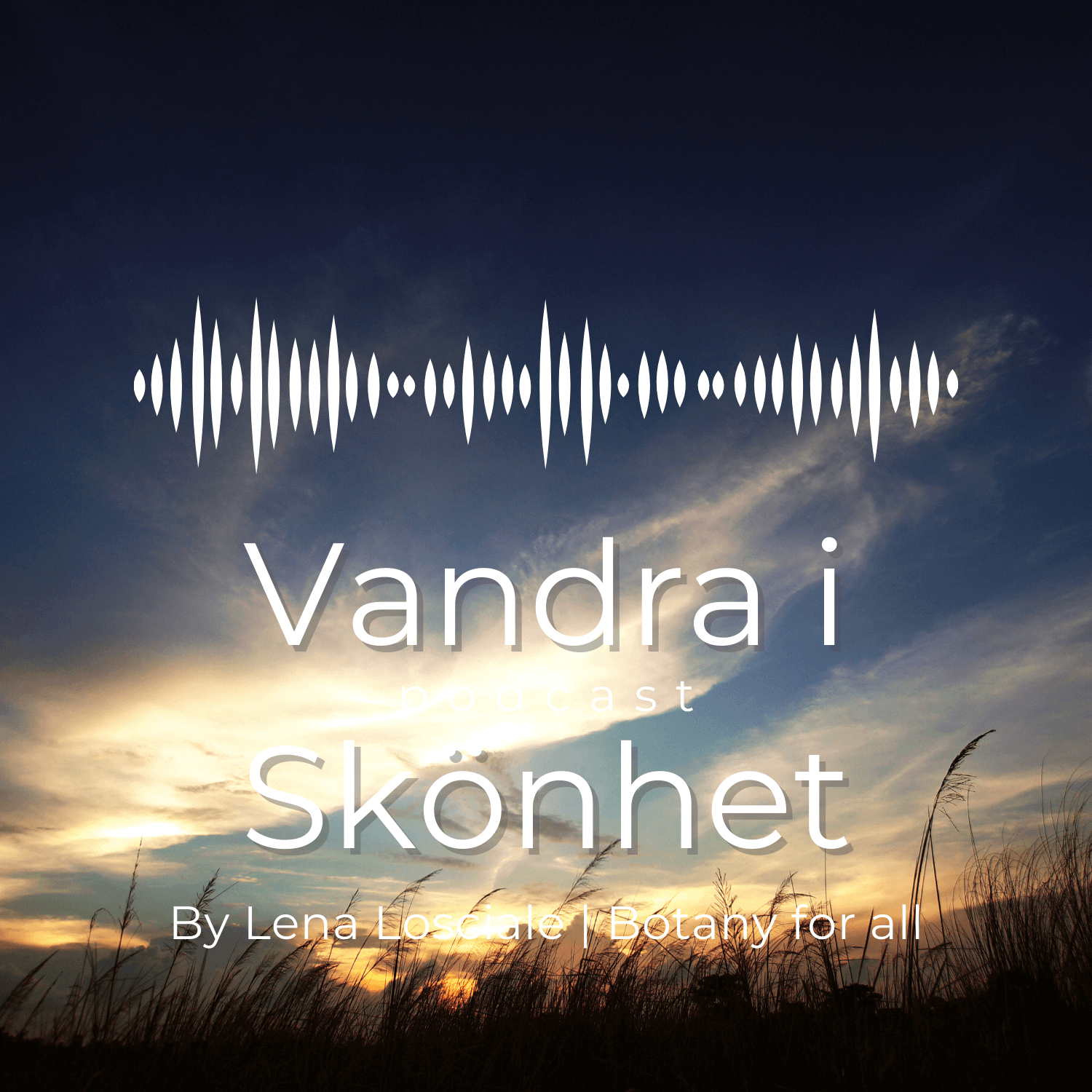 Guidad Aroma Meditation - Andning - VANDRA I SKÖNHET podcast