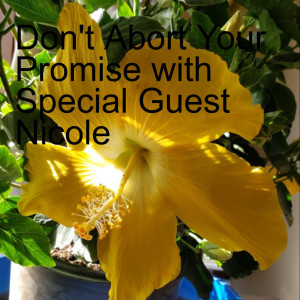 Don’t Abort Your Promise with Special Guest Nicole - PART 1 OF 2
