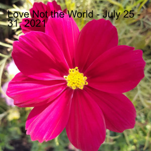 Love Not the World - July 25 - 31, 2021