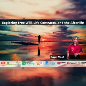 Exploring Free Will, Life Contracts, and the Afterlife